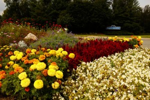 Boyne Mountain Condos, Homes, Houses, properties for sale