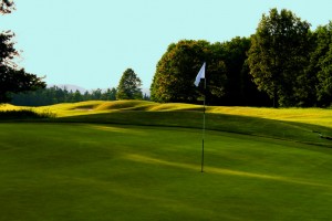 Boyne Mountain Condos, Homes, Houses, properties for sale