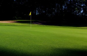 Boyne Mountain Condos, Homes, Houses, properties for sale
