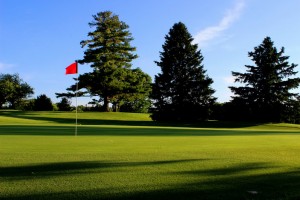 Boyne Mountain Condos, Homes, Houses, properties for sale