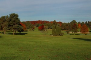 gaylord-gallery-21