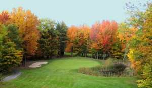 gaylord-gallery-23