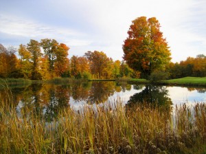 gaylord-gallery-24