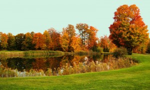 gaylord-gallery-25