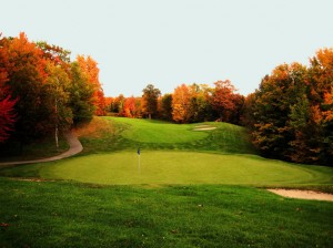 gaylord-gallery-26