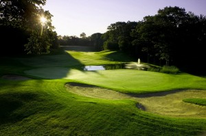 gaylord-gallery-27