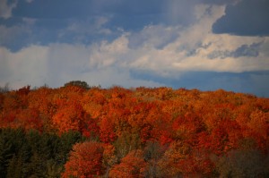 gaylord-gallery-33