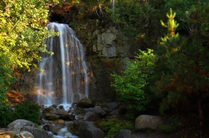 petoskey-gallery-66
